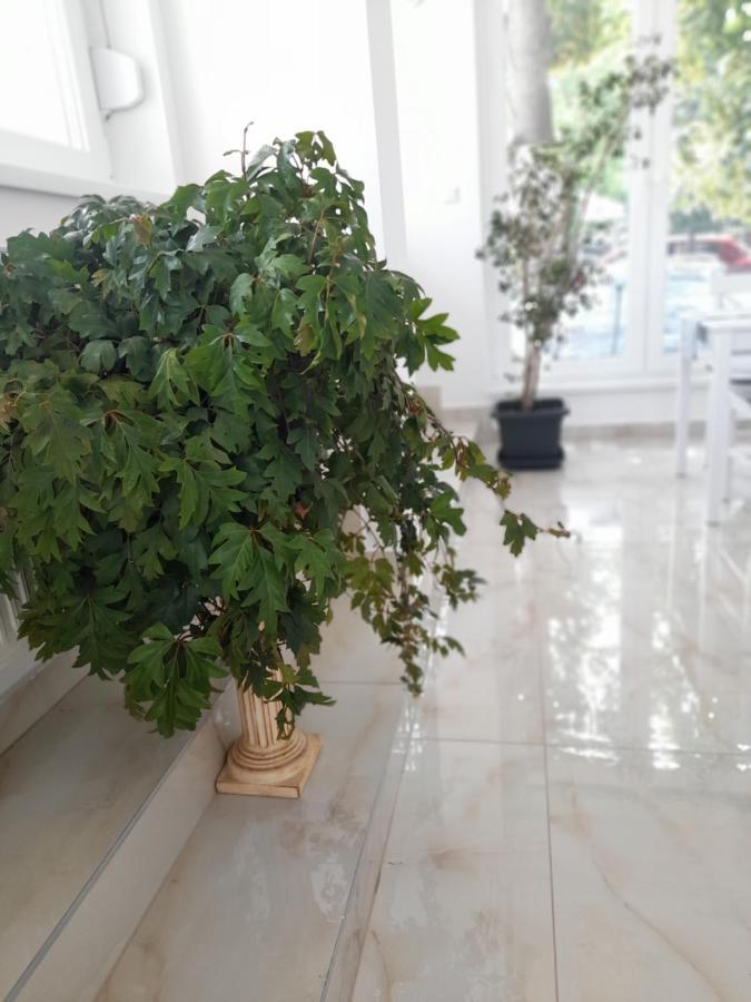 Orion Panzio Bed & Breakfast Hajdúszoboszló Dış mekan fotoğraf